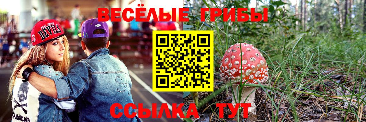 Псилоцибиновые грибы прущие грибы Мценск